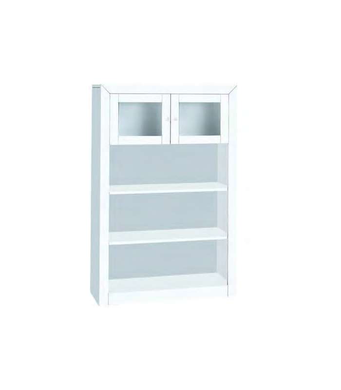 Bookcase 2 doors