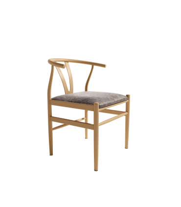 Bgal Sillas de salon Pack de 2 sillas Riga de metal con asiento
