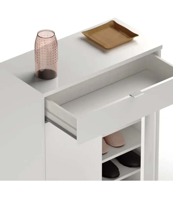 Wardrobe Zapatero Berlin two doors, a drawer several colors.