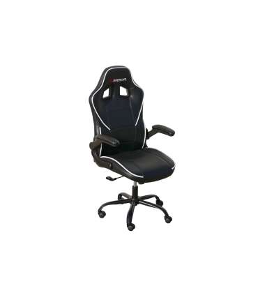 Studio chair Gamer XTR X40 raiseable various colors.