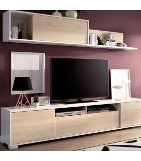 copy of Furniture set TV lounge with doors and Ken shelf