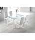 Nuria table set and 4 white claudia chairs