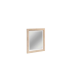 copy of Frame with Mirror Given