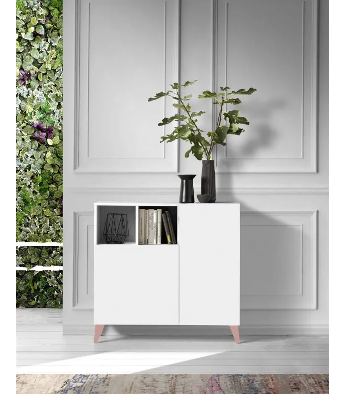 Recibidor zapatero 2 puertas en blanco y patas gris