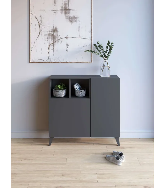 Zapatero 2 puertas grafito, ideal para tu hogar