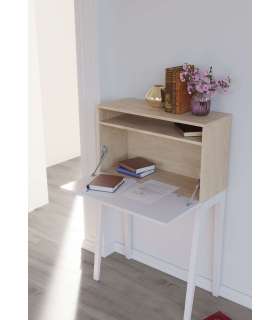 copy of Study table Mod-Tokio various colours to choose from 50