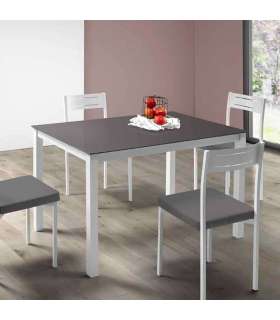 copy of Rectangular fixed table for living or dining room