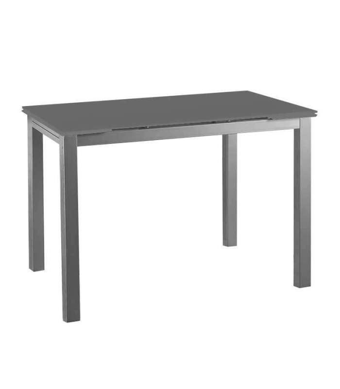 copy of Extendable table for living or dining room