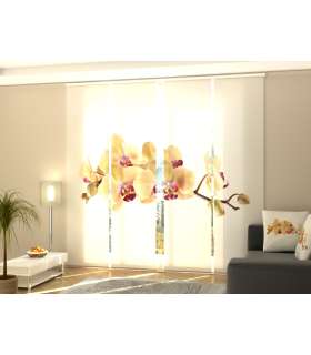 Set de 4 Paneles Japoneses con un Riel de 4 vías, Orquídea Dorada en Fondo Blanco, Medidas: 60x245 cm
