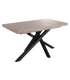 copy of Fixed lounge table Loft in wild oak white or black