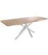 copy of Fixed lounge table Loft in wild oak white or black