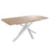 copy of Fixed lounge table Loft in wild oak white or black