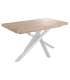 copy of Fixed lounge table Loft in wild oak white or black