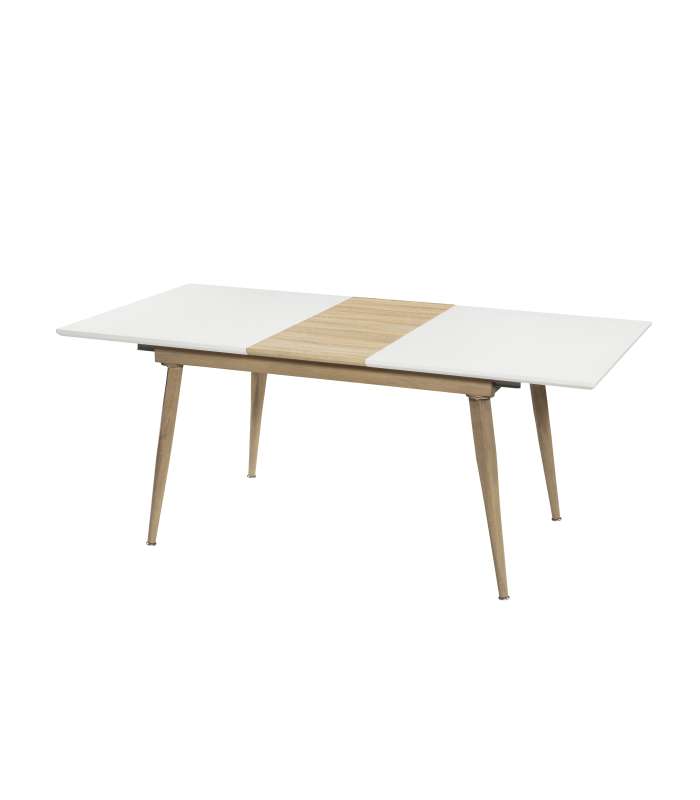 Boston table rectangular extendable matte white