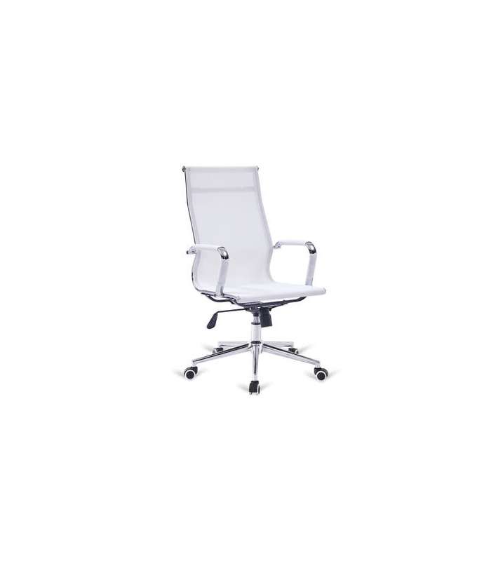 copy of Nice chair with mesh, height adjustable two colors to