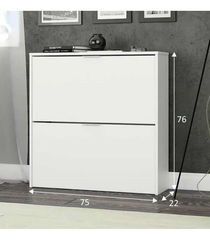 Zapatero blanco 2 puertas, ideal para 16 pares