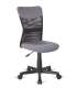 copy of Nice chair with mesh, height adjustable two colors to