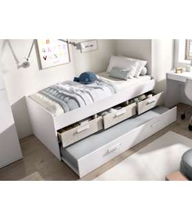 Ocean compact bed and multi-colored bookshelf.