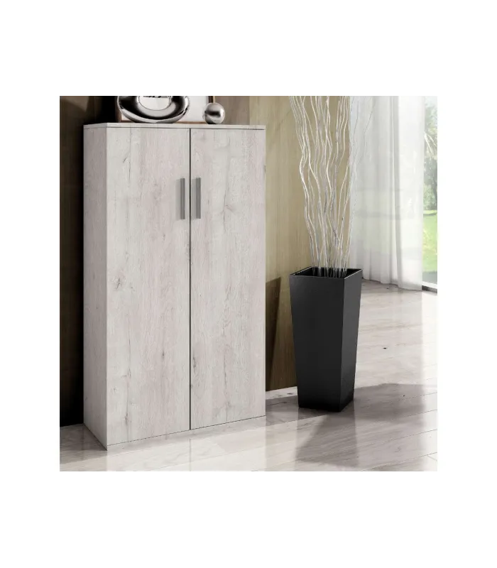 Armario zapatero 2 puertas color ártico con baldas