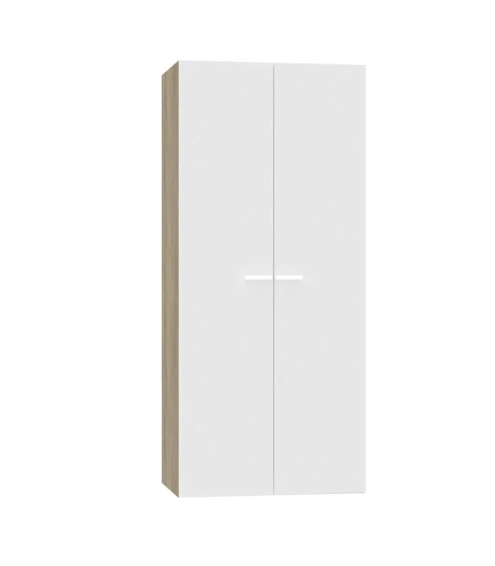Armoire à chaussures polyvalente 2 portes à charnières deux