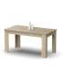 copy of Artik Biscuit lounge table 150x80 cm.