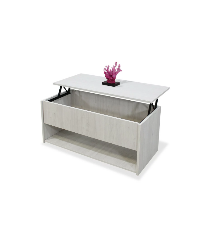 copy of Table basse relevable 51 cm(hauteur) 110 cm(largeur) 55