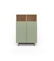 Mueble auxiliar modelo 603-1 acabado roble/verde, 110 x 90 x 34 (alto x ancho x fondo)