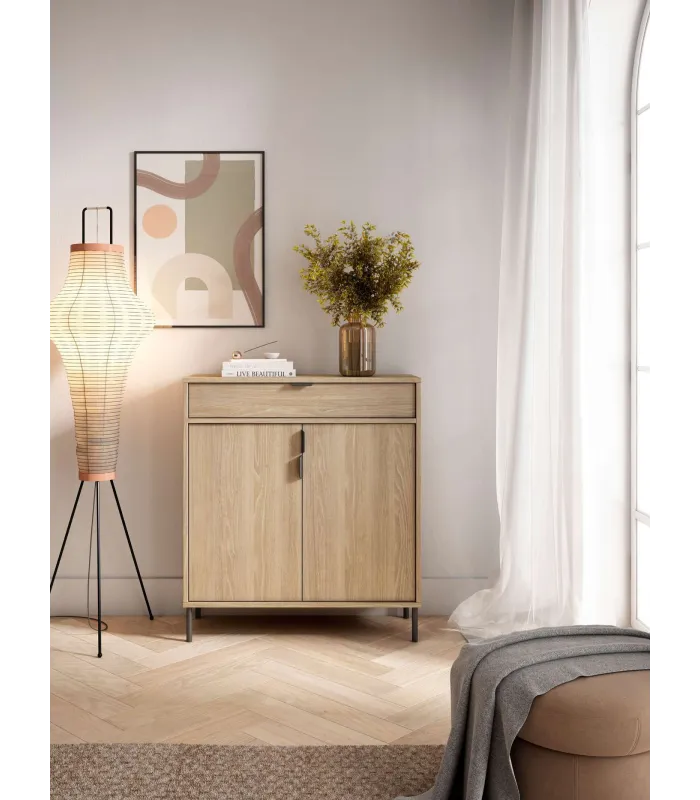 Mueble zapatero Md-507 en roble oscuro, 2 puertas