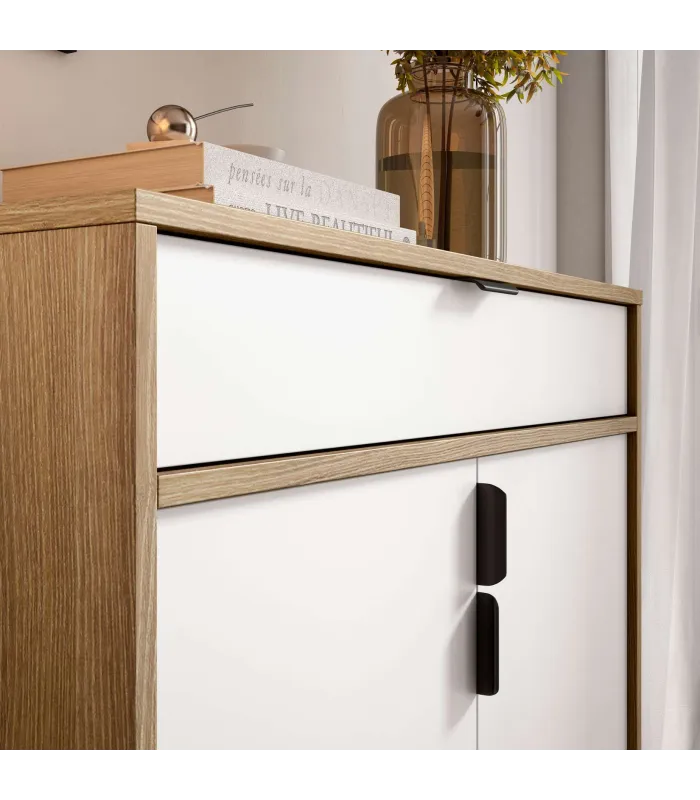 Zapatero Md-507 en roble oscuro y blanco