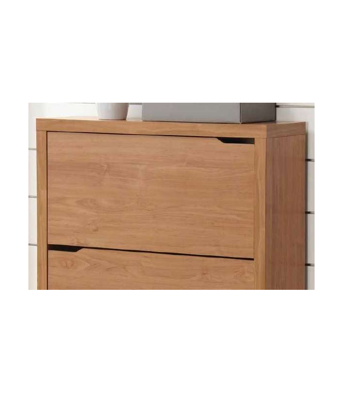 KITCLOSET Zapateros Zapatero 2 puertas kubox acabado maple, 79