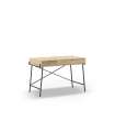 copy of Berna study table white finish 120 cm(width) 74 cm(height) 54 cm(depth)