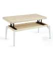 copy of Raised center table Loft in wild oak white or black structure.