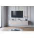Mkric MUEBLE TV MONTE 1 PTA CORR/2C 160 CM GRIS