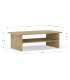 Mesa de centro estilo moderno elegante