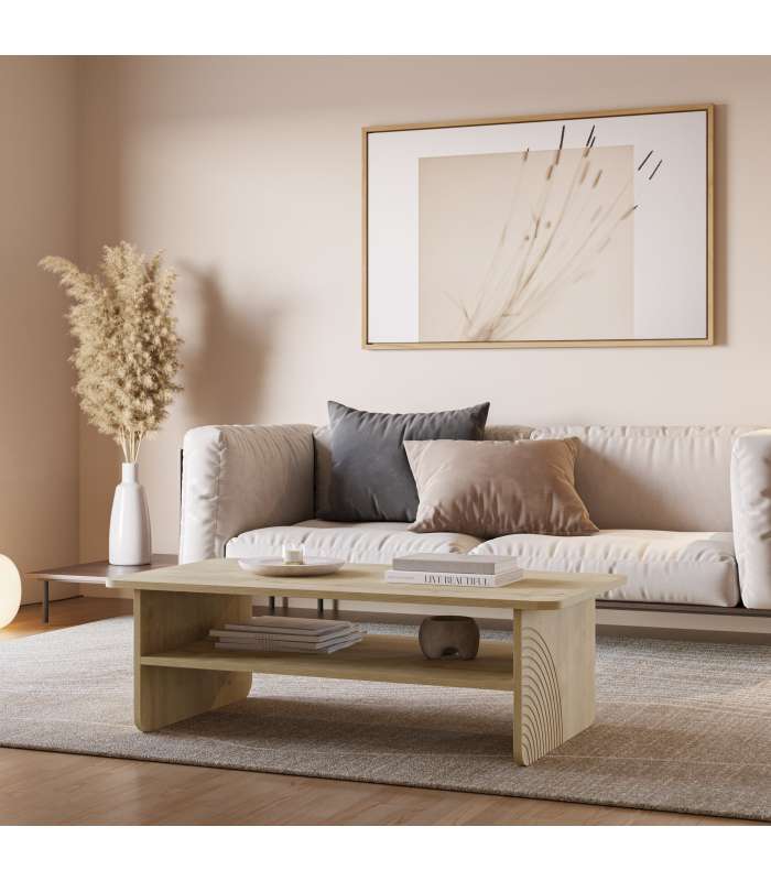 Mesa de centro estilo moderno elegante