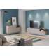 Mkric MUEBLE TV MONTE 1 PTA CORR/2C 160 CM GRIS