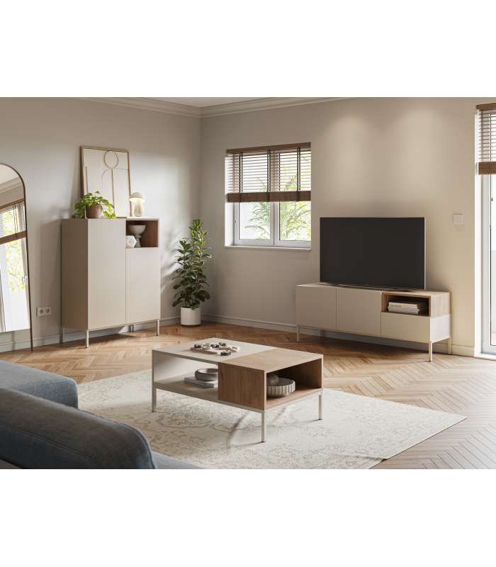 Mesa de centro estilo moderno elegante