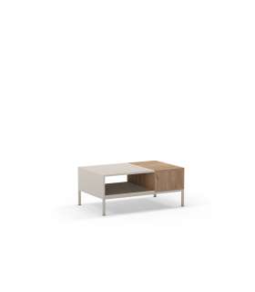 Mesa de centro estilo moderno elegante
