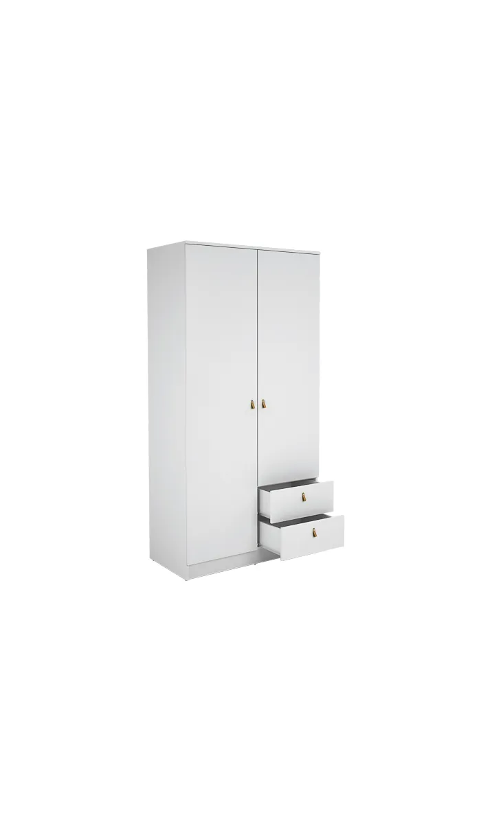 Armario 2 puertas abatibles, 2 cajones diseño moderno y funcional